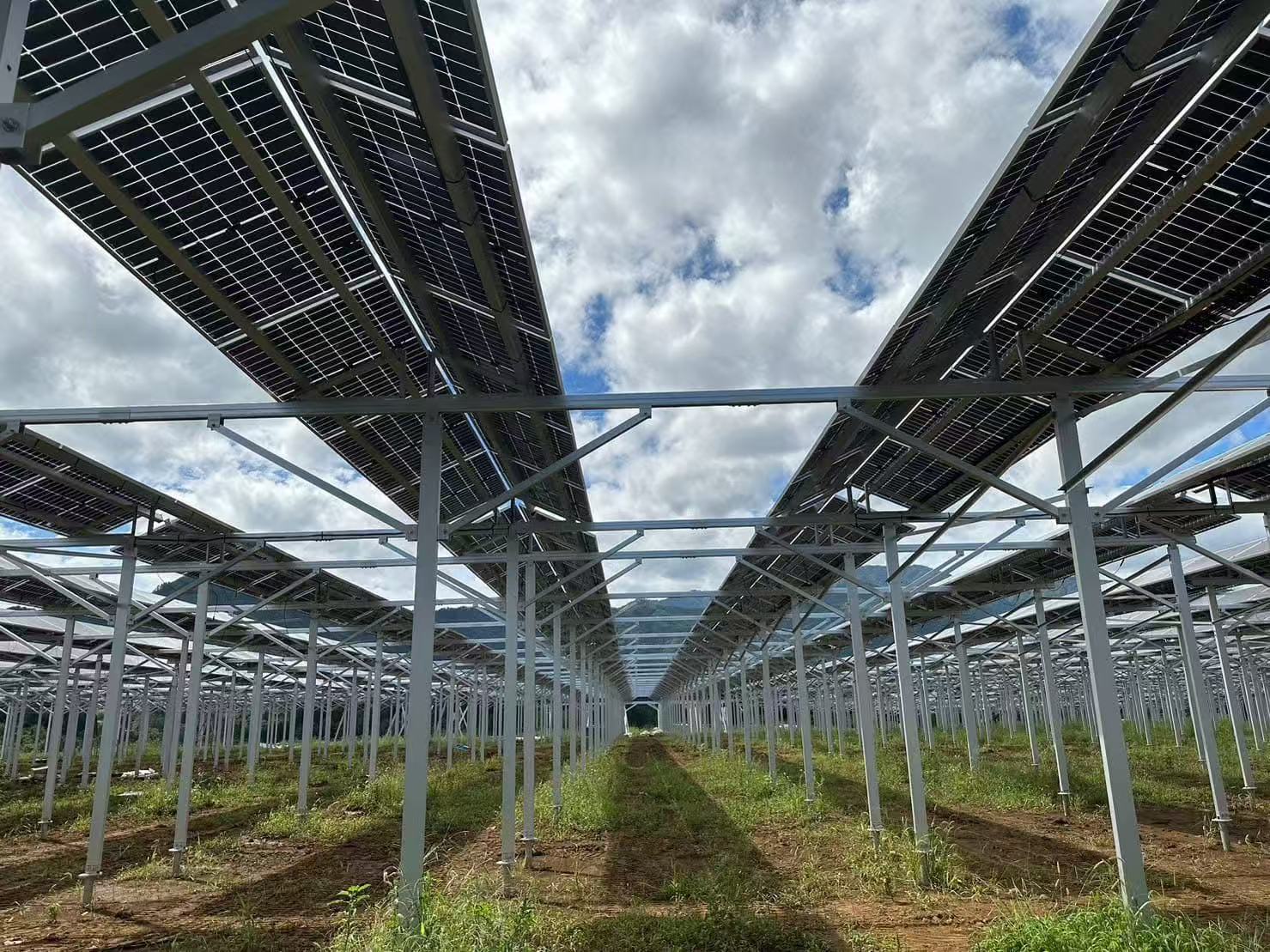 Vantaggi del supporto per capannoni agricoli