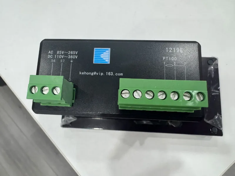 Indicatore di temperatura remoto OTI 1219E